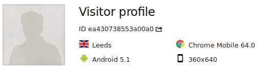 visitor_profile_single_visit_summary