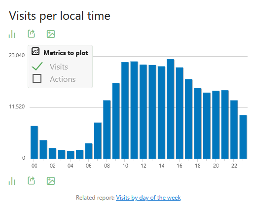 matomo visits per local time report