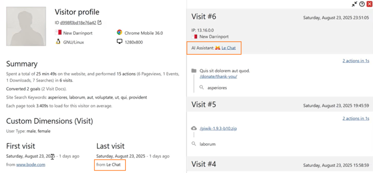 matomo visitor profile ai assistant label