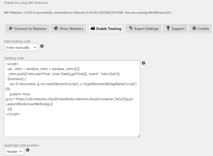 add tag manager code to matomo plugin