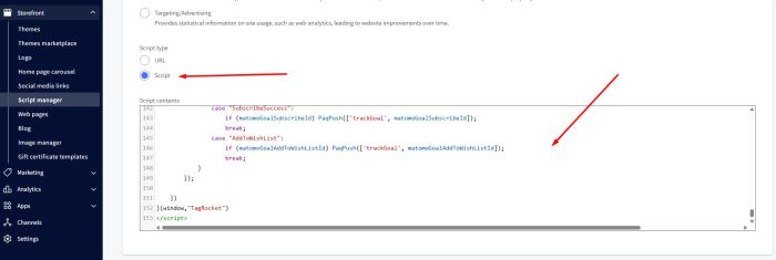 tag rocket paste matomo tracking script