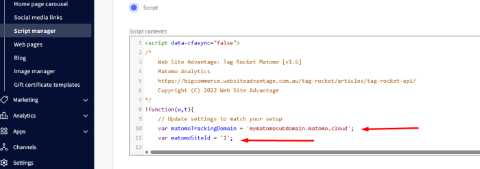 tag rocket set matomo url site id